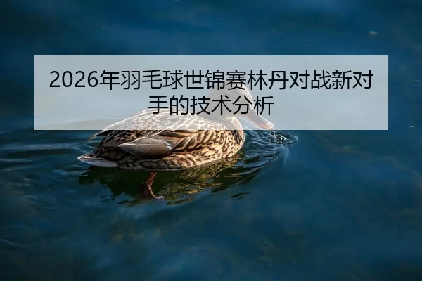 2026年羽毛球世锦赛林丹对战新对手的技术分析
